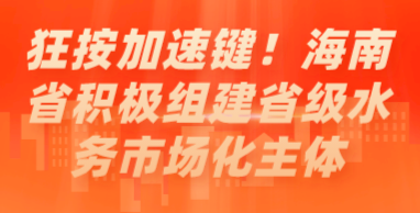 狂按加速鍵！海南省積極組建省級(jí)水務(wù)市場(chǎng)化主體